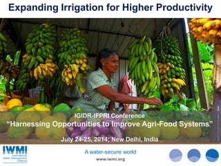 Photo:KannanArunasalam/IWMI
www.iwmi.org
A water-secure world
IGIDR-IFPRI Conference
“Harnessing Opportunities to Improve Agri-Food Systems”
July 24-25, 2014; New Delhi, India
Expanding Irrigation for Higher Productivity
 