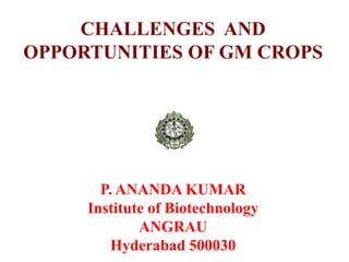 CHALLENGES AND
OPPORTUNITIES OF GM CROPS
P. ANANDA KUMAR
Institute of Biotechnology
ANGRAU
Hyderabad 500030
 