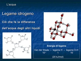 Legame idrogenoLegame idrogeno
Ciò che fa la differenzaCiò che fa la differenza
dell’acqua dagli altri liquididell’acqua dagli altri liquidi
L’acquaL’acqua
Energia di legame
Van der Waals – legame H – legame O-H
10-1
1 10
(20 kJ/mol)
 