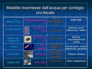 Malattie trasmesse dall’acqua per contagioMalattie trasmesse dall’acqua per contagio
oro-fecaleoro-fecale
SINTOMISINTOMIAREAAREA
GEOGRAFICGEOGRAFIC
AA
MICRORGANISMMICRORGANISM
OO
MALATTIAMALATTIA
EscherichiaEscherichia
colicoli
CosmopolitaCosmopolitaDiarrea delDiarrea del
viaggiatoreviaggiatore
Diarrea,Diarrea,
doloriaddominalidoloriaddominali
vomitovomito
Diarrea, doloriDiarrea, dolori
addominali, febbreaddominali, febbreCosmopolitaCosmopolita
SalmonellaSalmonella
tiphytiphy
Febbre tifoideFebbre tifoide
Febbre, cefaleaFebbre, cefalea
Cosmopolita,Cosmopolita,
zone calde ezone calde e
temperatetemperate
PoliovirusPoliovirusPoliomelitePoliomelite
Diarrea grave, crampiDiarrea grave, crampi
addominali, peritoniteaddominali, peritonite
Cosmopolita,Cosmopolita,
endemico inendemico in
AsiaAsia
VibrioVibrio
choleraecholerae
ColeraColera
Ittero inappetenzaIttero inappetenzaCosmopolitaCosmopolita
HAV, HEVHAV, HEVEpatite A/EEpatite A/E
 