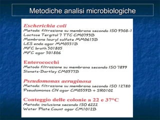 Metodiche analisi microbiologicheMetodiche analisi microbiologiche
 