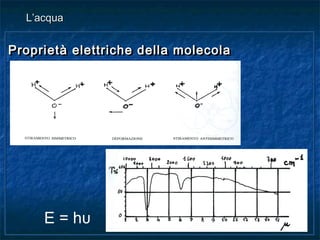Proprietà elettriche della molecolaProprietà elettriche della molecolaProprietà elettriche della molecolaProprietà elettriche della molecola
L’acquaL’acqua
E = hυ
 