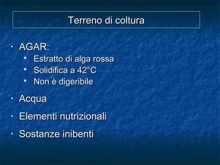 Terreno di colturaTerreno di coltura
• AGAR:AGAR:
 Estratto di alga rossaEstratto di alga rossa
 Solidifica a 42°CSolidifica a 42°C
 Non è digeribileNon è digeribile
• AcquaAcqua
• Elementi nutrizionaliElementi nutrizionali
• Sostanze inibentiSostanze inibenti
 