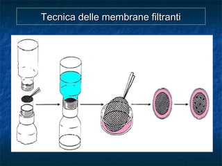 Tecnica delle membrane filtrantiTecnica delle membrane filtranti
 