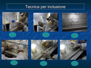 Tecnica per inclusioneTecnica per inclusione
1 2 3
4 5 6
 