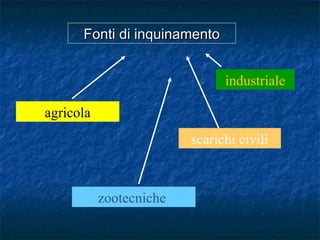 agricola
industriale
zootecniche
scarichi civili
Fonti di inquinamentoFonti di inquinamento
 