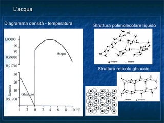 Diagramma densità - temperaturaDiagramma densità - temperatura
L’acquaL’acqua
Struttura reticolo ghiaccio
Struttura polimolecolare liquido
 