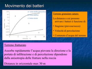 Terreno granulare saturo
La distanza a cui possono
arrivare i batteri è funzione di:
• Stagione (piovosa/secca)
• Velocità di percolazione
• Contenuto d’acqua del terreno
Terreno fratturato
Assorbe rapidamente l’acqua piovana la direzione e la
portata di infiltrazione e di percolazione dipendono
dalla anisotropia delle fratture nella roccia
Distanza in orizzontale max 30 m
a= zona molto pericolosa
b=zona dubbia
c=zona sicura
Movimento dei batteriMovimento dei batteri
 