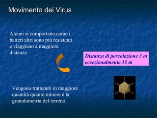 Alcuni si comportano come i
batteri altri sono più resistenti
e viaggiano a maggiore
distanza
Vengono trattenuti in maggiore
quantità quanto minore è la
granulometria del terreno.
Distanza di percolazione 3 m
eccezionalmente 15 m
Movimento dei VirusMovimento dei Virus
 