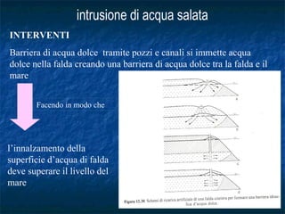 INTERVENTI
Barriera di acqua dolce tramite pozzi e canali si immette acqua
dolce nella falda creando una barriera di acqua dolce tra la falda e il
mare
l’innalzamento della
superficie d’acqua di falda
deve superare il livello del
mare
Facendo in modo che
 
