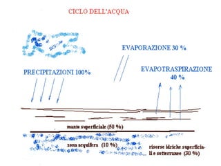 IL CICLO DELL’ACQUAIL CICLO DELL’ACQUA
 