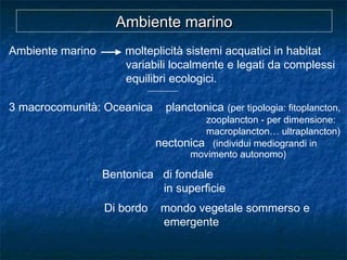 Ambiente marino molteplicità sistemi acquatici in habitat
variabili localmente e legati da complessi
equilibri ecologici.
-------------------
3 macrocomunità: Oceanica planctonica (per tipologia: fitoplancton,
zooplancton - per dimensione:
macroplancton… ultraplancton)
nectonica (individui mediograndi in
movimento autonomo)
Bentonica di fondale
in superficie
Di bordo mondo vegetale sommerso e
emergente
Ambiente marinoAmbiente marino
 