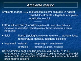 Ambiente marino molteplicità sistemi acquatici in habitat
variabili localmente e legati da complessi
equilibri ecologici.
-------------------
Fattori influenzanti gli equilibri (derivanti in particolare dai corpi
immissari, in particolare i corpi fluviali per la loro turbolenza e carico
inquinante):
• fisici: flusso (tipologia:turbolento, laminare…, portata, luce,
temperatura, densità, ossigeno disciolto
• inquinanti naturali tempi lunghi → adattamento
antropici domestici, agricoli, industriali
Dal dinamismo degli equilibri dei cicli vitali del C, N, P, S,
energetico si estrinseca il fenomeno dell’autodepurazione del
mare e della sua capacità di adattamento, fondamentale nelle
aree marine costiere
Ambiente marinoAmbiente marino
 