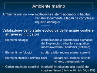 Ambiente marino molteplicità sistemi acquatici in habitat
variabili localmente e legati da complessi
equilibri ecologici.
-------------------
Valutazione dello stato ecologica delle acque costiere
attraverso indicatori
• Elementi biologici composizione e abbondanza biomassa
del fitoplancton, altra flora acquatica,
macroinvertebrati bentonici (trofismo)
• Elementi morfologici struttura letto, regime maree, correnti
• Elementi chimici e chimico-fisici trasparenza, termica, salinità,
nutrienti, ossigenazione
• Carico inquinanti specifici in priorità in relazione alla qualità dei
corpi immissari (riferimenti in tab D.lgs 152)
Ambiente marinoAmbiente marino
 