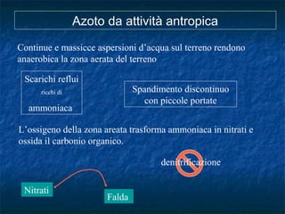 Continue e massicce aspersioni d’acqua sul terreno rendono
anaerobica la zona aerata del terreno
Scarichi reflui
ricchi di
ammoniaca
Spandimento discontinuo
con piccole portate
L’ossigeno della zona areata trasforma ammoniaca in nitrati e
ossida il carbonio organico.
denitrificazione
Nitrati
Falda
Azoto da attività antropica
 