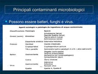 Principali contaminanti microbiologiciPrincipali contaminanti microbiologici
 Possono essere batteri, funghi e virus.
 