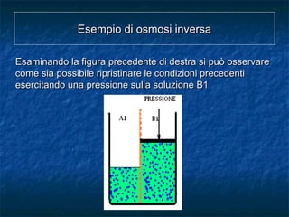 Esempio di osmosi inversaEsempio di osmosi inversa
Esaminando la figura precedente di destra si può osservareEsaminando la figura precedente di destra si può osservare
come sia possibile ripristinare le condizioni precedenticome sia possibile ripristinare le condizioni precedenti
esercitando una pressione sulla soluzione B1esercitando una pressione sulla soluzione B1
 