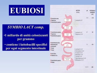 SYMBIO LACT comp.
•1 miliardo di unità colonizzanti
per grammo
• contiene i lattobacilli specifici
per ogni segmento intestinale
EUBIOSI
 