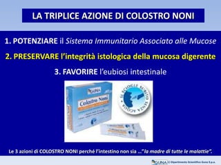 1. POTENZIARE il Sistema Immunitario Associato alle Mucose
2. PRESERVARE l’integrità istologica della mucosa digerente
3. FAVORIRE l’eubiosi intestinale
Le 3 azioni di COLOSTRO NONI perché l’intestino non sia …”la madre di tutte le malattie”.
LA TRIPLICE AZIONE DI COLOSTRO NONI
© Dipartimento Scientifico Guna S.p.a.
 