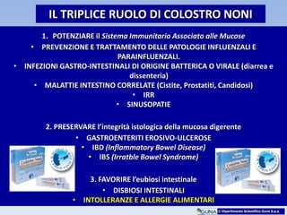 IL TRIPLICE RUOLO DI COLOSTRO NONI
1. POTENZIARE il Sistema Immunitario Associato alle Mucose
• PREVENZIONE E TRATTAMENTO DELLE PATOLOGIE INFLUENZALI E
PARAINFLUENZALI.
• INFEZIONI GASTRO-INTESTINALI DI ORIGINE BATTERICA O VIRALE (diarrea e
dissenteria)
• MALATTIE INTESTINO CORRELATE (Cistite, Prostatiti, Candidosi)
• IRR
• SINUSOPATIE
2. PRESERVARE l’integrità istologica della mucosa digerente
• GASTROENTERITI EROSIVO-ULCEROSE
• IBD (Inflammatory Bowel Disease)
• IBS (Irratble Bowel Syndrome)
3. FAVORIRE l’eubiosi intestinale
• DISBIOSI INTESTINALI
• INTOLLERANZE E ALLERGIE ALIMENTARI
© Dipartimento Scientifico Guna S.p.a.
 