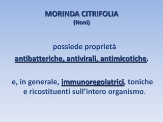 MORINDA CITRIFOLIA
(Noni)
possiede proprietà
antibatteriche, antivirali, antimicotiche,
e, in generale, immunoregolatrici, toniche
e ricostituenti sull’intero organismo.
 