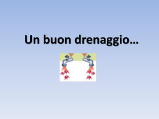 Un buon drenaggio…
 
