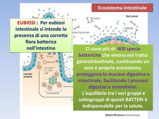 EUBIOSI : Per eubiosi
intestinale si intende la
presenza di una corretta
flora batterica
nell'intestino Ci sono più di 400 specie
batteriche che vivono nel tratto
gastrointestinale, costituendo un
vero e proprio ecosistema.
proteggono la mucosa digestiva e
intestinale, facilitando i processi
digestivi e assimilativi.
L'equilibrio tra i vari gruppi e
sottogruppi di questi BATTERI è
indispensabile per la salute.
Ecosistema intestinale
 