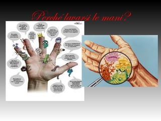 Perché lavarsi le
     mani?
 