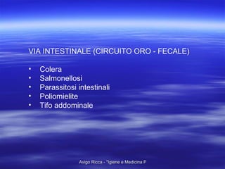 VIA INTESTINALE (CIRCUITO ORO - FECALE) Colera Salmonellosi Parassitosi intestinali Poliomielite Tifo addominale 