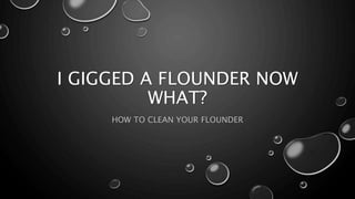 I GIGGED A FLOUNDER NOW
WHAT?
HOW TO CLEAN YOUR FLOUNDER
 