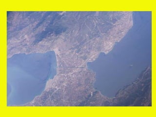 I giochi olimpici (unitaria 2012)