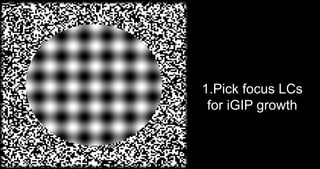 1.Pick focus LCs
for iGIP growth
 