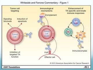 Whiteside and Ferrone Commentary - Figure 1
 