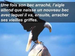 Une fois son bec arraché, l’aigle
attend que naisse un nouveau bec
avec lequel il va, ensuite, arracher
ses vieilles griffes.

 
