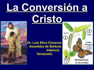 La Conversión a Cristo Dr. Luis Silva Cisneros  Asamblea de Bárbula.  Valencia. Venezuela. 1 2 3 4 Huevo Larva Pupa Adulto Mariposa Metamorfosis  (Conversión) 