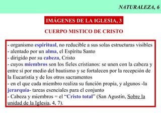 NATURALEZA, 6 IMÁGENES DE LA IGLESIA, 3 CUERPO MISTICO DE CRISTO - organismo  espiritual , no reducible a sus solas estructuras visibles - alentado por un  alma , el Espíritu Santo - dirigido por su  cabeza , Cristo - cuyos  miembros  son los fieles cristianos: se unen con la cabeza y  entre sí por medio del bautismo y se fortalecen por la recepción de la Eucaristía y de los otros sacramentos - en el que cada miembro realiza su función propia, y algunos -la jerarquía - tareas esenciales para el conjunto - Cabeza y miembros = el “ Cristo total ” (San Agustín,  Sobre la unidad de la Iglesia , 4, 7). 