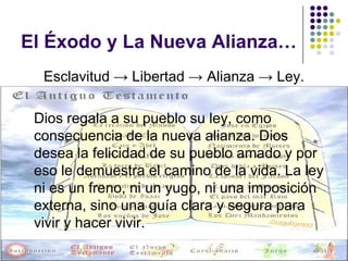 El Éxodo y La Nueva Alianza…
  Esclavitud → Libertad → Alianza → Ley.

 Dios regala a su pueblo su ley, como
 consecuencia de la nueva alianza. Dios
 desea la felicidad de su pueblo amado y por
 eso le demuestra el camino de la vida. La ley
 ni es un freno, ni un yugo, ni una imposición
 externa, sino una guía clara y segura para
 vivir y hacer vivir.
 
