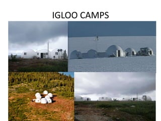 IGLOO CAMPS
 