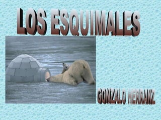 LOS ESQUIMALES GONZALO HERRANZ  