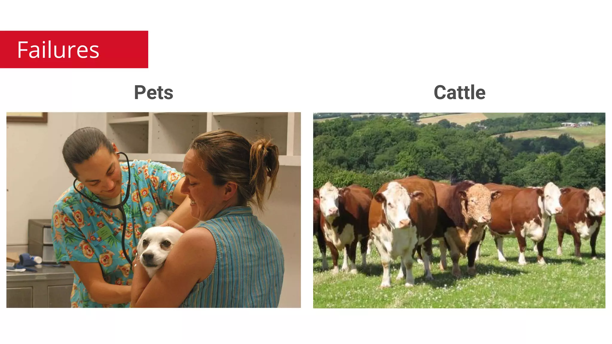 Google Cloud Platform
Pets Cattle
Failures
 