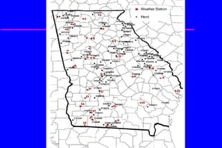 Heat tolerance, real-life genomics and GxE issues