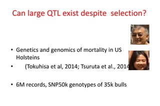 Heat tolerance, real-life genomics and GxE issues