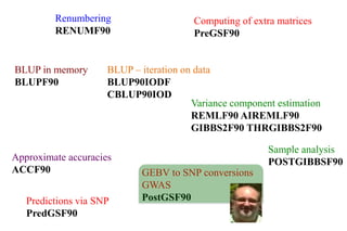 Heat tolerance, real-life genomics and GxE issues