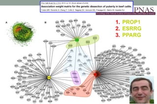 Heat tolerance, real-life genomics and GxE issues
