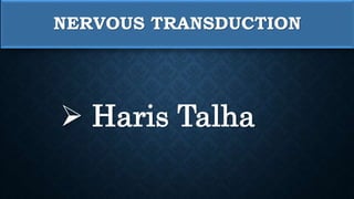 NERVOUS TRANSDUCTION
 Haris Talha
 
