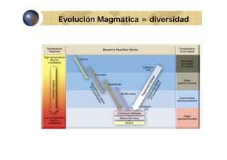 Evolución Magmática = diversidad

 