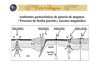 Ciclo Endógeno
Ambientes geotectónicos de génesis de magmas
• Procesos de fusión parcial y ascenso magmático

 