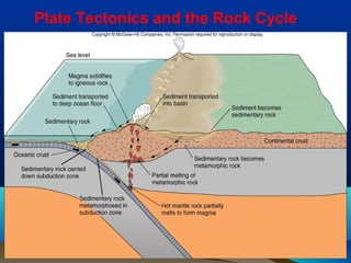 Plate Tectonics and the Rock Cycle
 