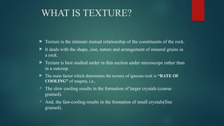 IGNEOUS PETROLOGY PPT.pptx by Kritika Kandpal | PPTX