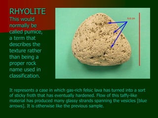 RHYOLITE
This would
normally be
called pumice,
a term that
describes the
texture rather
than being a
proper rock
name used in
classification.
It represents a case in which gas-rich felsic lava has turned into a sort
of sticky froth that has eventually hardened. Flow of this taffy-like
material has produced many glassy strands spanning the vesicles [blue
arrows]. It is otherwise like the previous sample.
 